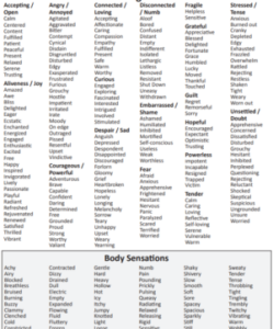 List of Emotions